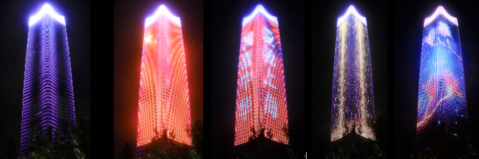 1504697519372322.png 白玉兰.png