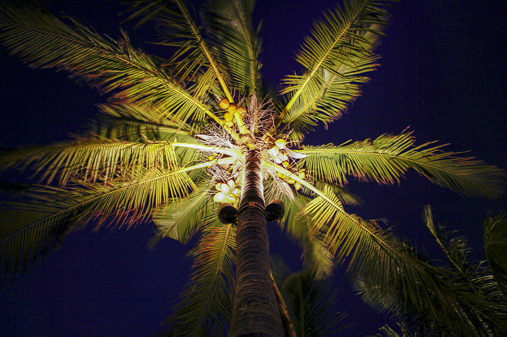 1523413334903043.png 图片8 -ps.PNG
