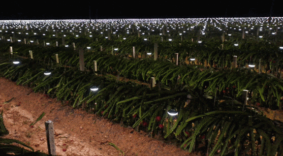 1712051171262575.gif 20240309-3.gif